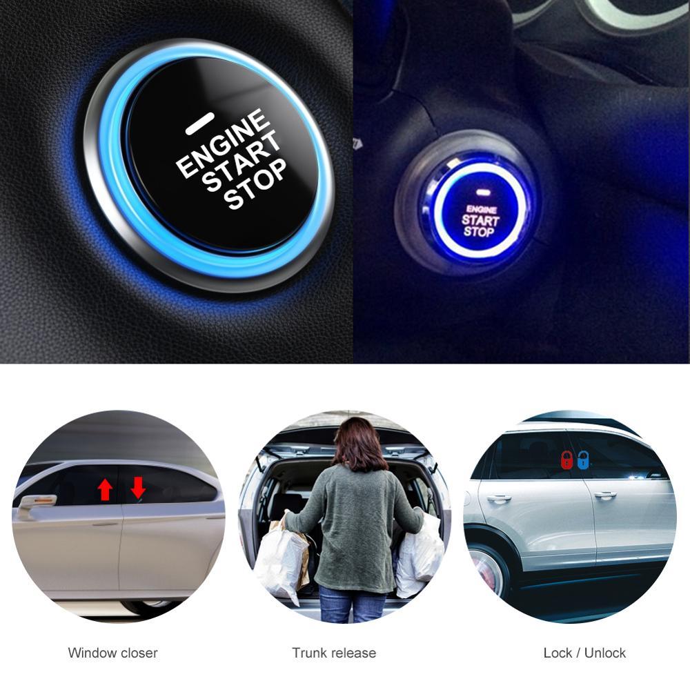 Car ant system