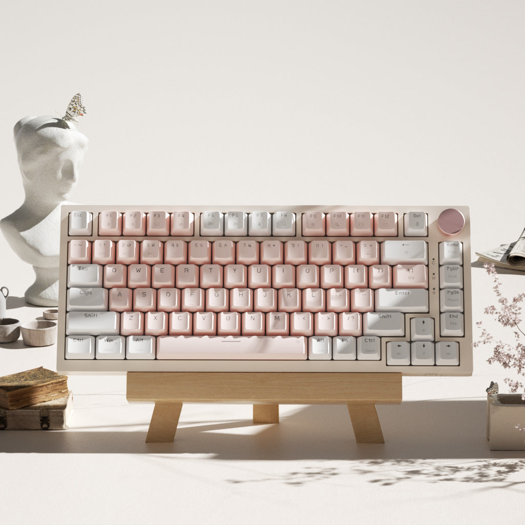 Creative Color Gaming Home Office